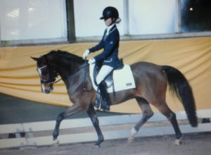 Indoor kampioenschap dressuur