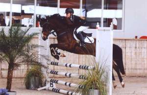 Indoor kampioenschap springen