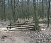 2 winstpunten in eerste cross