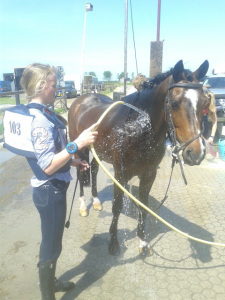 2 winstpunten in zonnig Oudkarspel