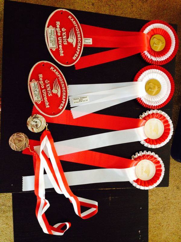 Brons op Regiokampioenschap dressuur