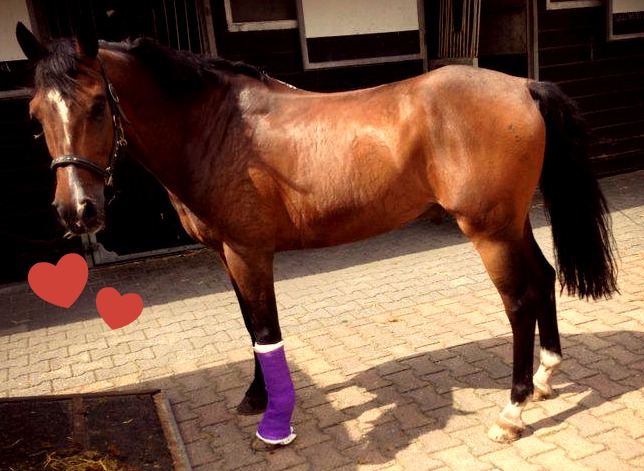 Wat zo goed begon, eindigt als een nachtmerrie