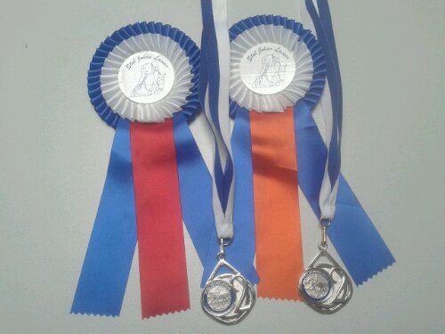 1e en 2de plek dressuur