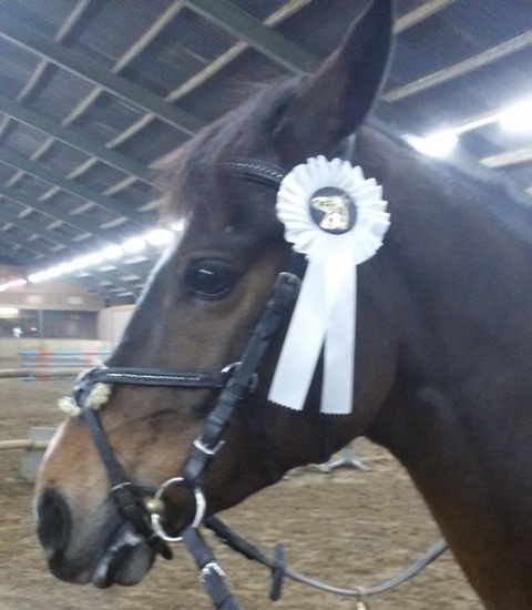 Volare weer in de top