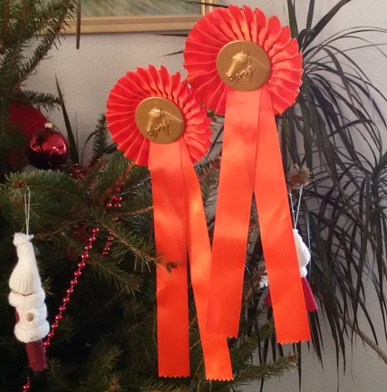 Dubbel 1 op oliebolleconcours