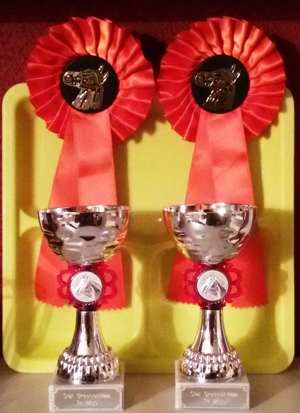 Weer topscores op selectie