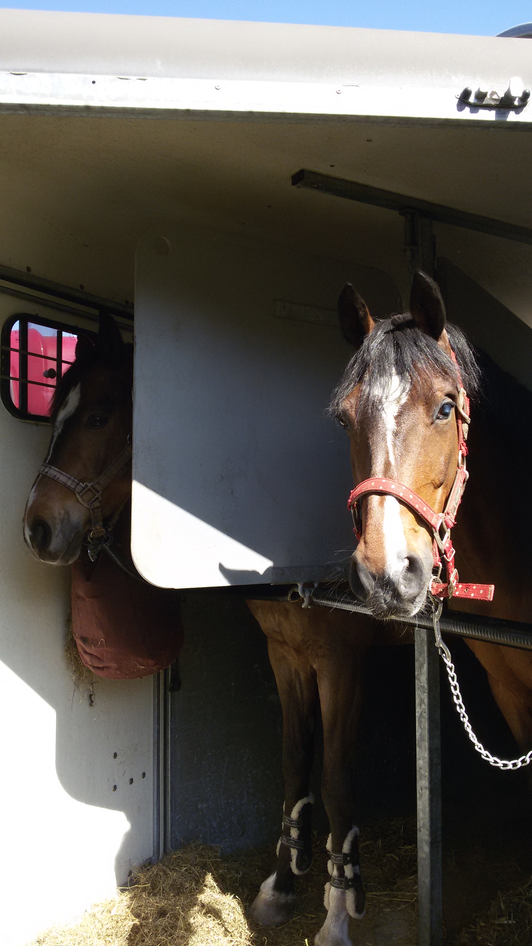 Wesley niet te kloppen