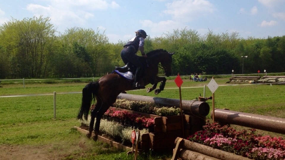 Topprestatie in Castenray met Akkerhoeve's Wesley