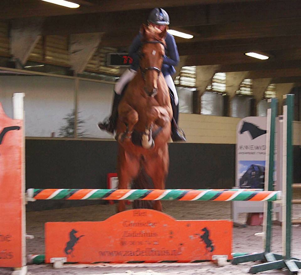 Jodocus en Milli voor het eerst op concours