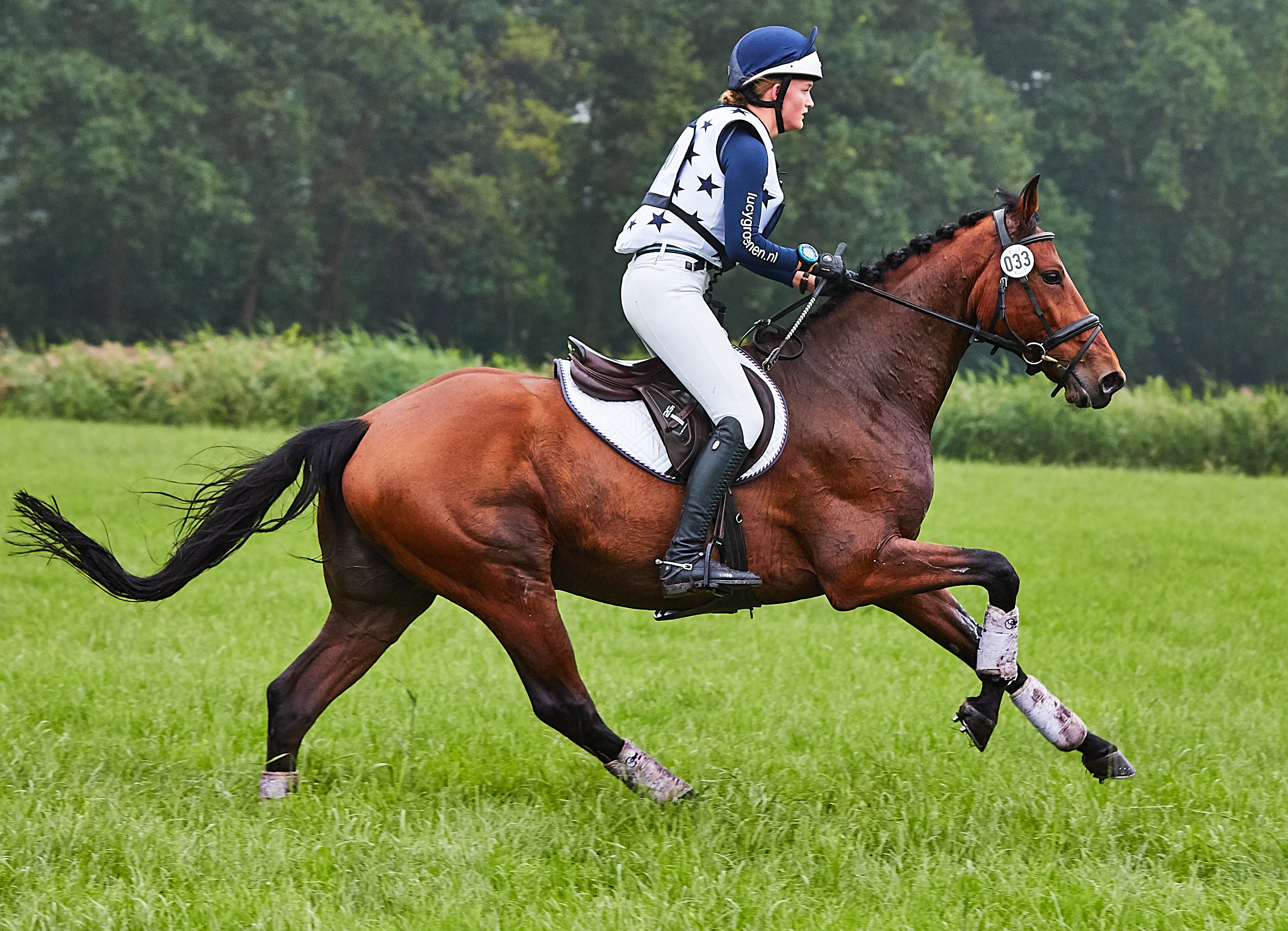 Internationaal debuut in de CCI1* Eventing