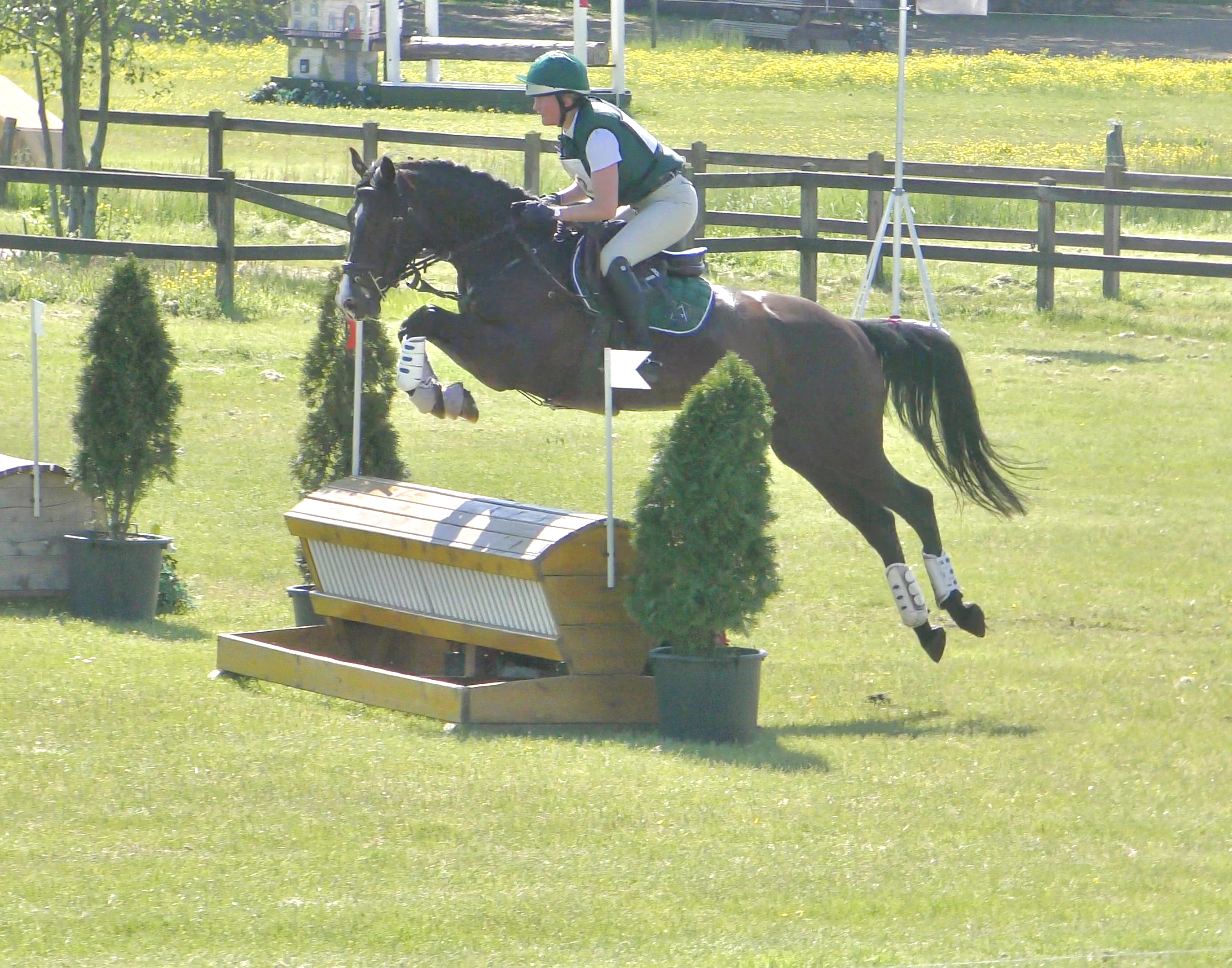 Opnieuw foutloos tijdens de Young Horse Trials